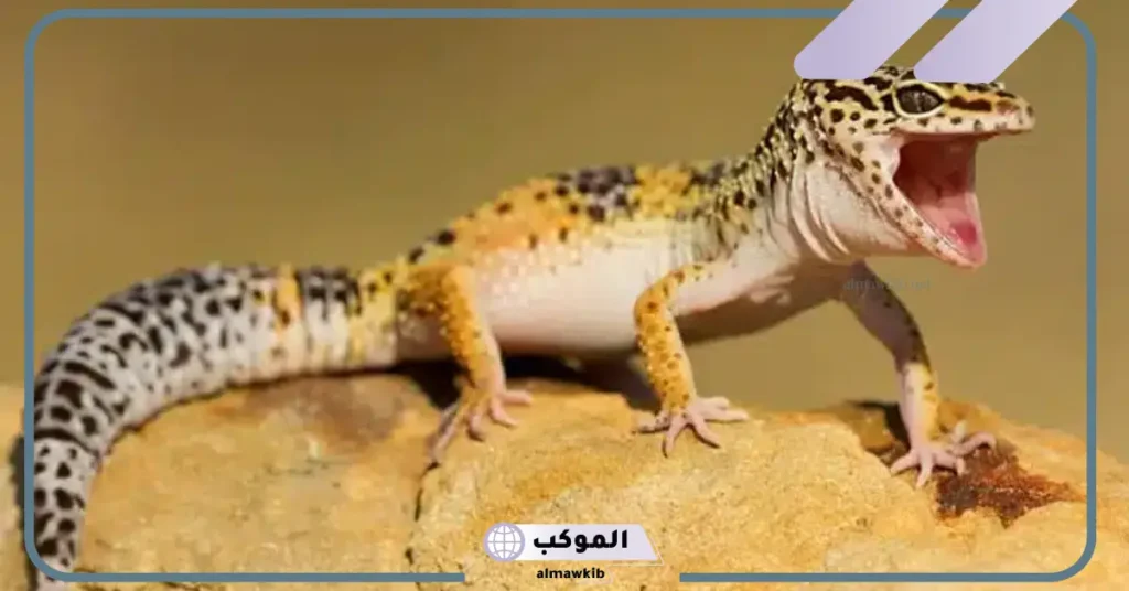 رمز الوزغ في المنام للمتزوجة