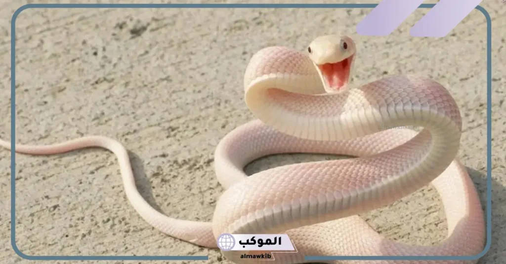 لدغة الأفعى البيضاء في المنام للمتزوجة