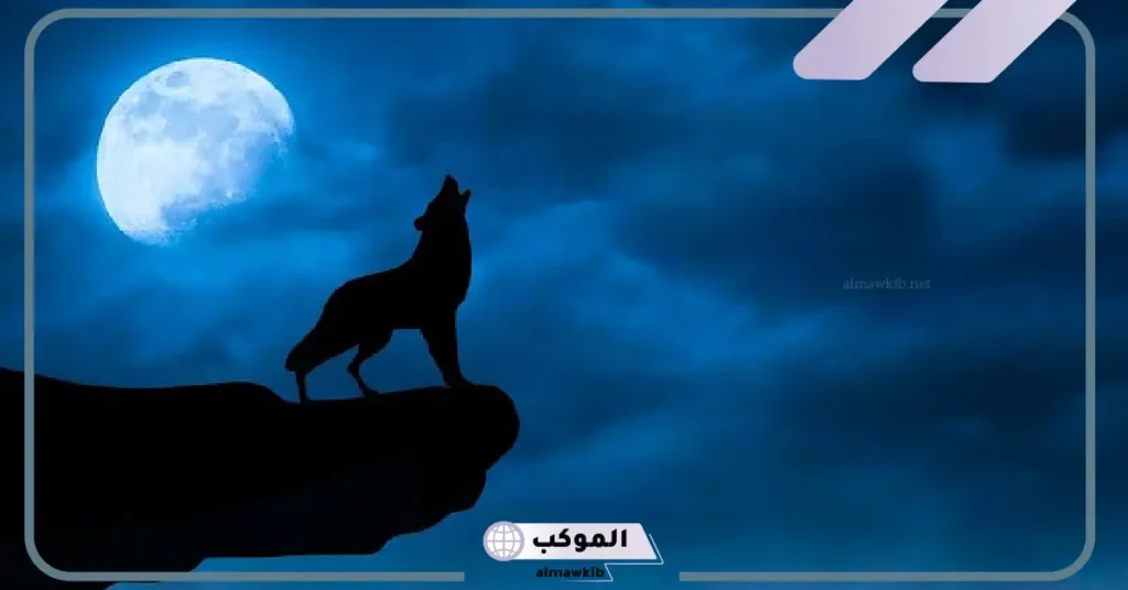 ما هو اسم صوت الذئب المخيف؟ 6 اسم صوت الضفدع