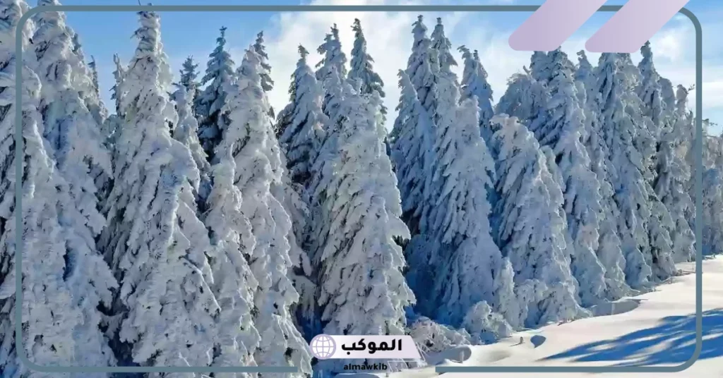 متى ينتهي فصل الشتاء 2025