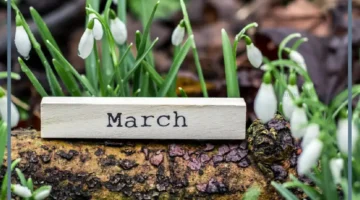 شهر مارس بالانجليزي