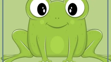 صوت الضفدع يسمى ماذا