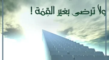 عبارات عن التفوق والاجتهاد 1