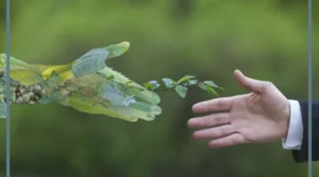 عبارات مميزة عن الكرم