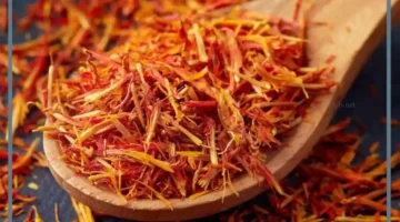 فوائد العصفر للخوف جابر القحطاني