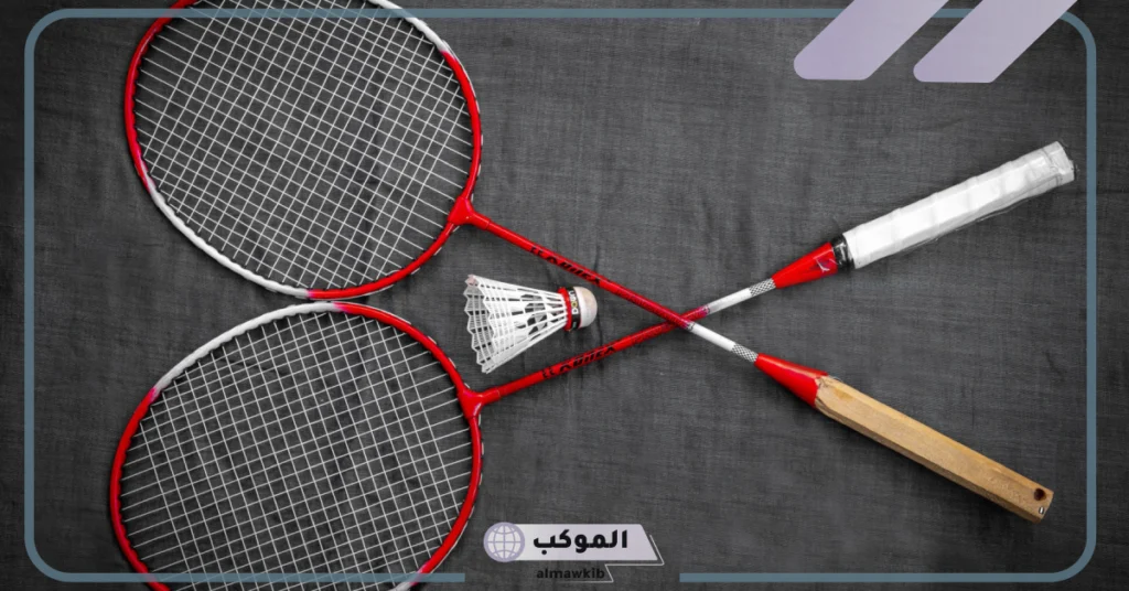 معلومات عن الريشة الطائرة 