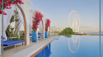 ما هو المعنى الحقيقي لكلمة view