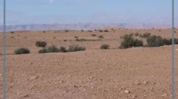 ما هي الأرض القاحلة