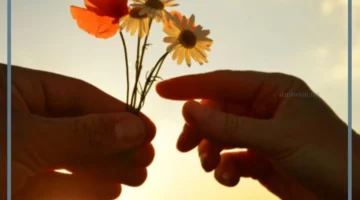 مضاد كلمة الإيثار