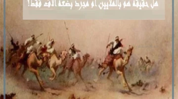 معلومات عن قبيلة سليم بن منصور