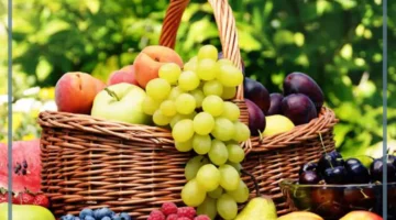 معنى حلم الفاكهة