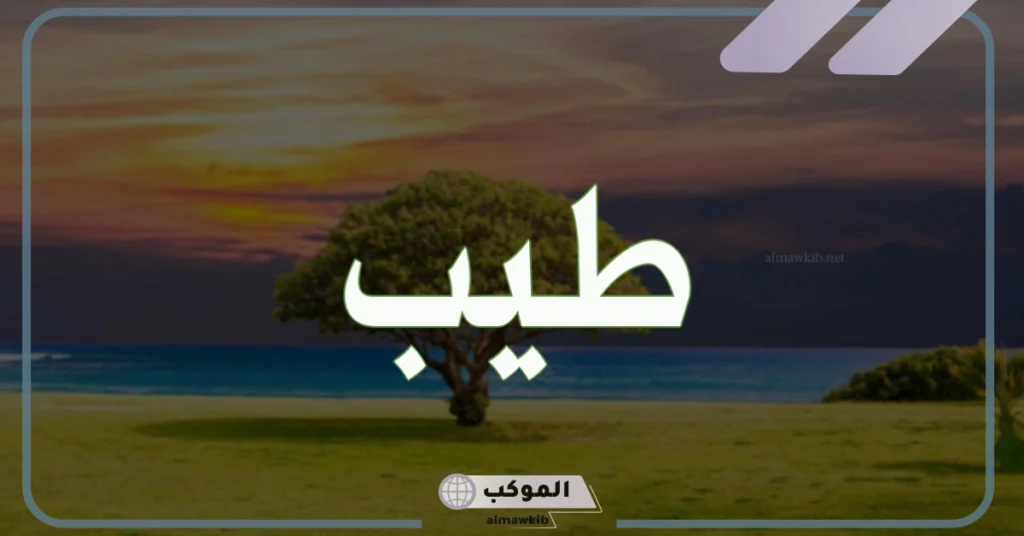 ما هو معنى كلمة طيب؟ استخدامات كلمة طيب 6 استخدامات كلمة طيب