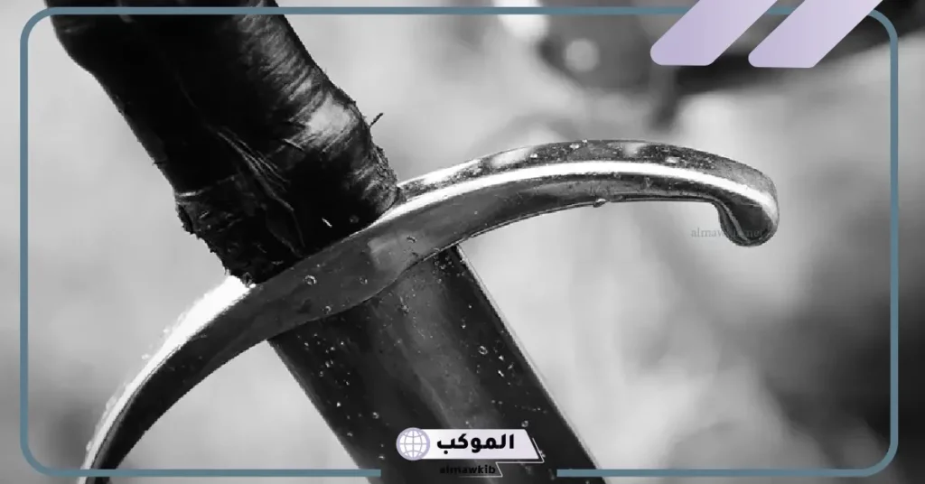 من اول من قاتل بالسيف؟ أول من قاتل في سبيل الله من الأنبياء 5 معنى سل السَّيْفَ