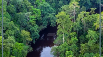 منطقة برية وحيوية