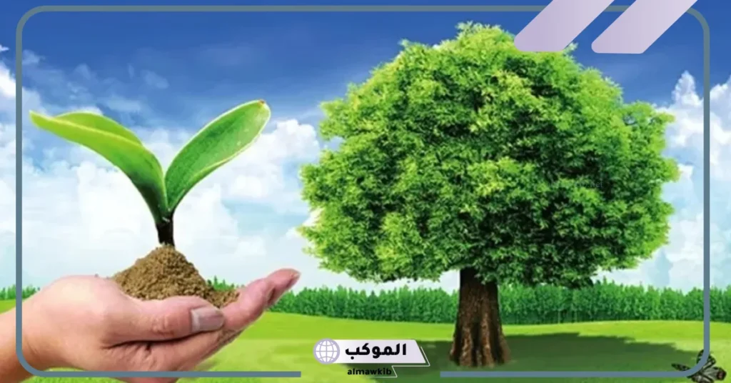 أمثلة على النظام البيئي