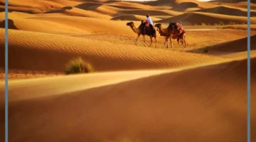 هل الحضر لهم أصل؟