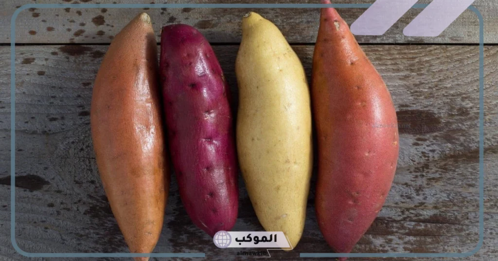 انواع البطاطا الحلوة بالفوائد والأضرار.. شكل لون البطاطا الحلوة من الداخل 6 أضرار البطاطا الحلوة