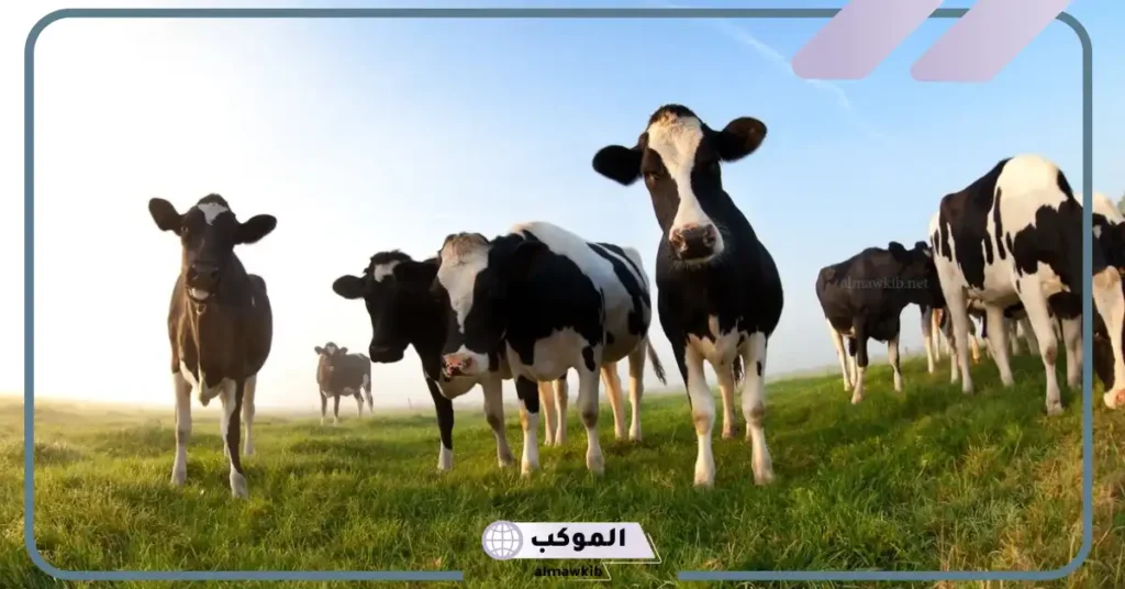 ما أقل الحيوانات انتشارًا في الوطن العربي ولماذا؟