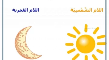 أنواع اللام