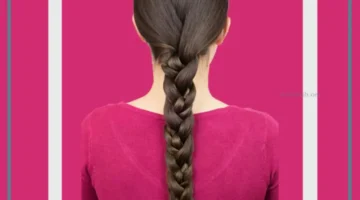 أهمية الضفيرة