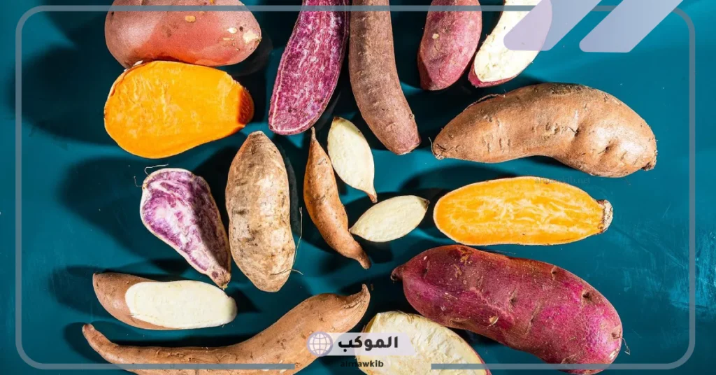 انواع البطاطا الحلوة بالفوائد والأضرار.. شكل لون البطاطا الحلوة من الداخل 5 تجفيف البطاطا الحلوة