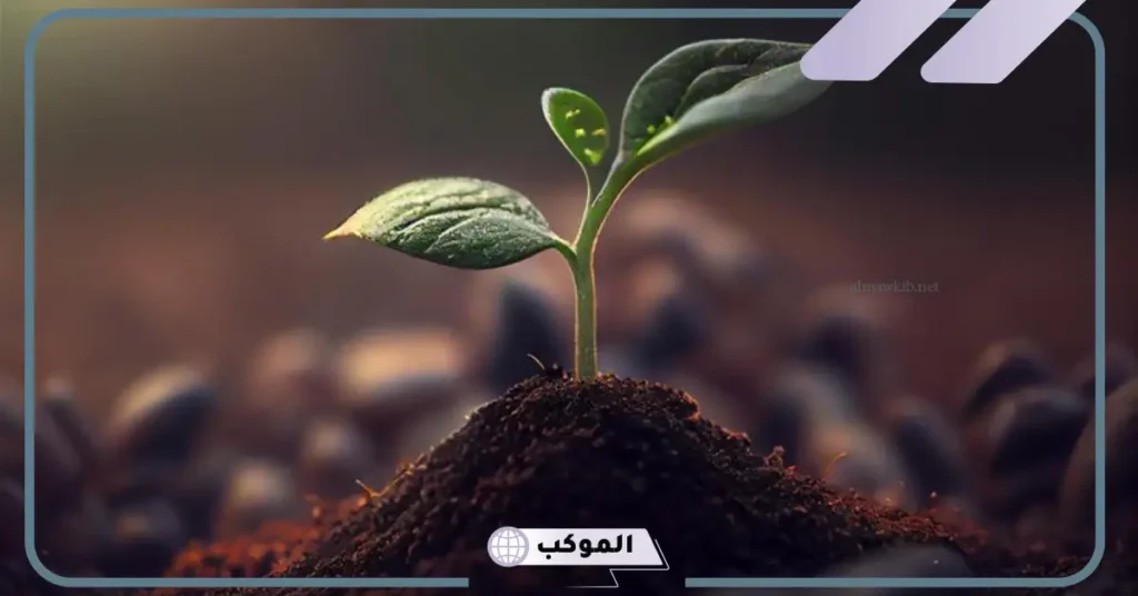 ما هي مكونات التربة وخصائصها؟ تعريف التربة 6 مكونات التربة الزراعية