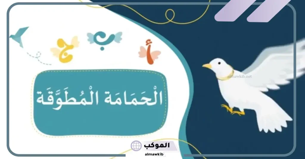 من الأفكار الفرعية في نص الحمامة المطوقة