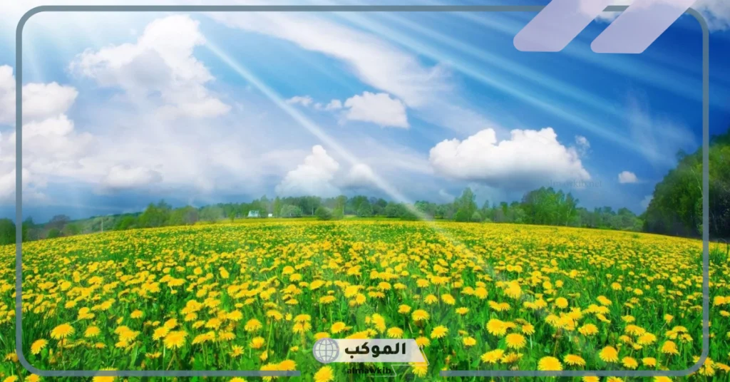 مميزات فصل الربيع 