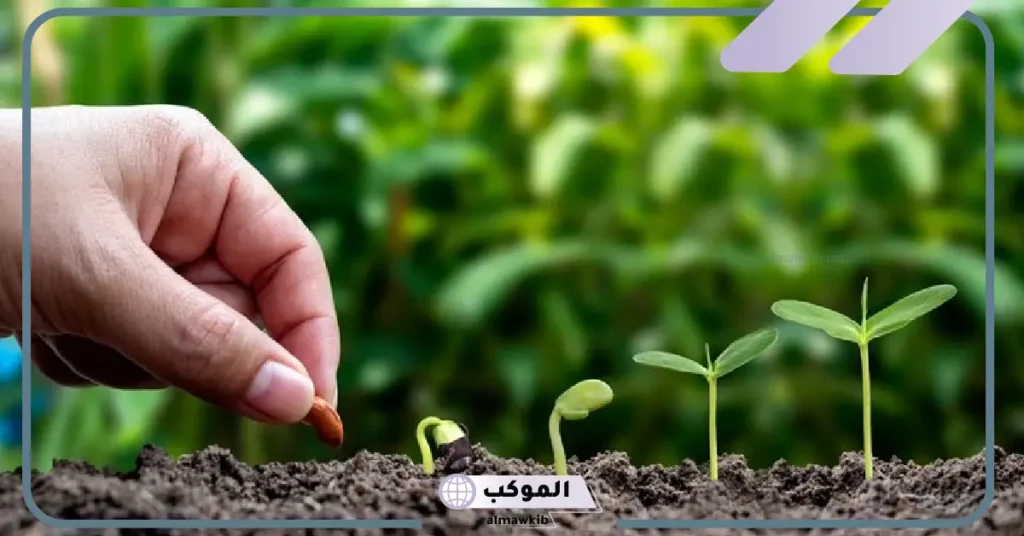 رؤية الزرع في المنام