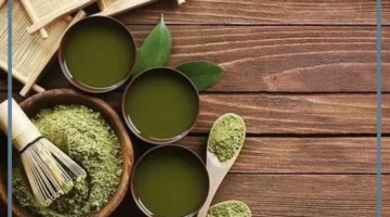 السدر في الحلم