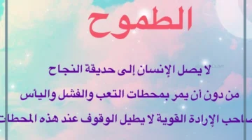 الطموح والنجاح