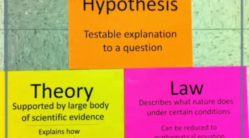 الفرق بين النظرية والقانون