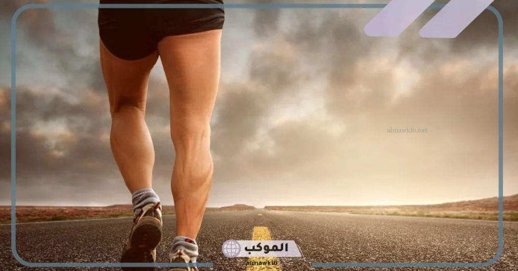 ما هي عناصر اللياقة البدنية المرتبطة بالصحة.. أهمية اللياقة البدنية 6 أنواع اللياقة البدنية