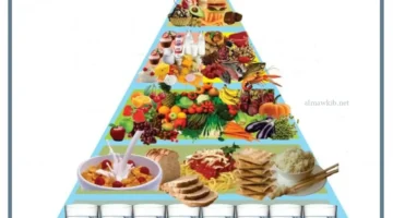 المجموعات الغذائية للأطفال