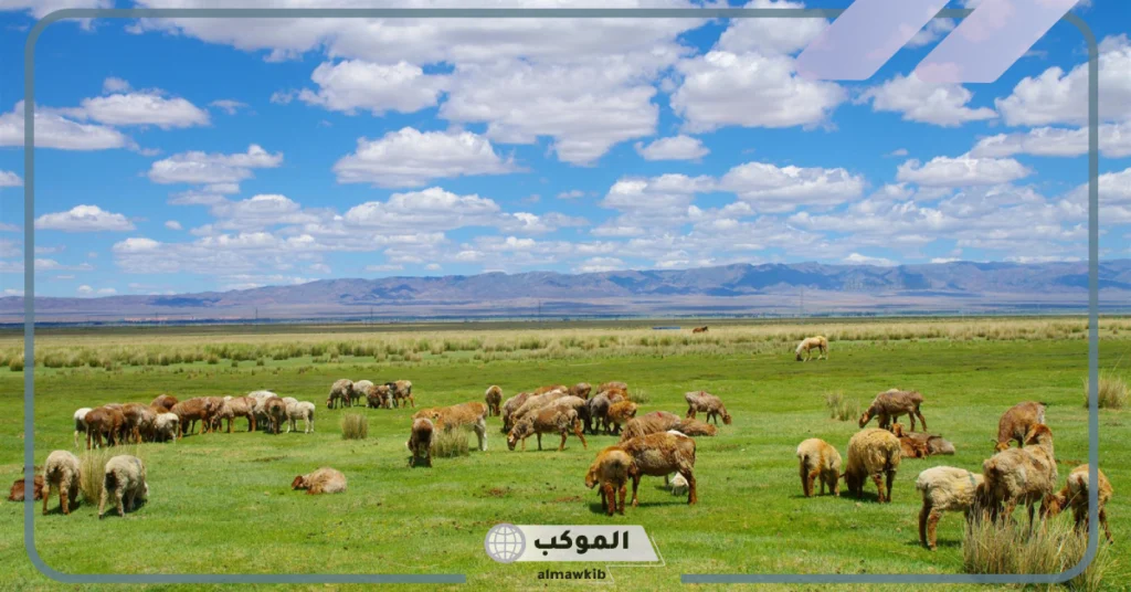 ما هي منطقة عشبيه معتدلة؟ اين تقع الأراضي العشبية 6 نباتات المنطقة المعتدلة