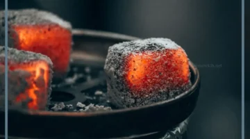 انواع فحم فخمة