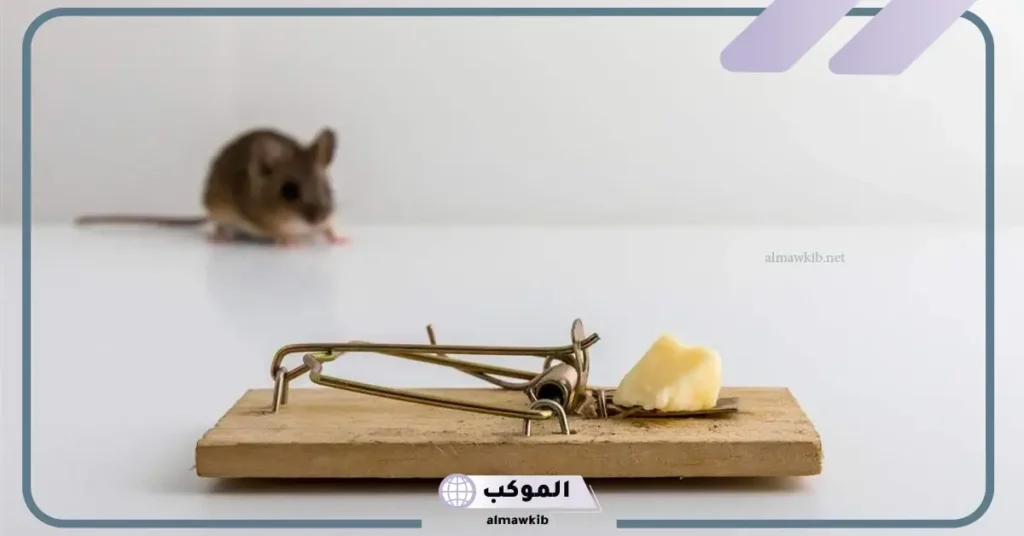 قتل الفأر الأبيض في المنام