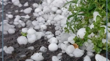 تفسير رؤية البرد للمرأة