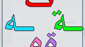 تمارين وأمثلة على التاء المربوطة والتاء المفتوحة