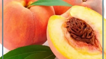 دلالات الخوخ في المنام