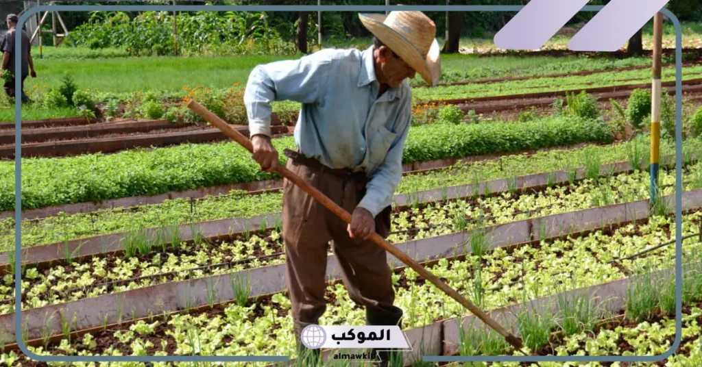 الزراعة في المنام للعزباء