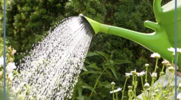 دلالات رؤية الماء في المنام