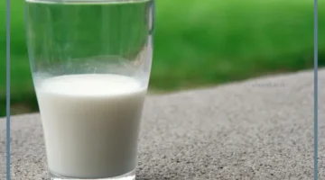 رؤية حليب في الحلم