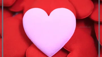 رسائل رومانسية إلى الزوجة