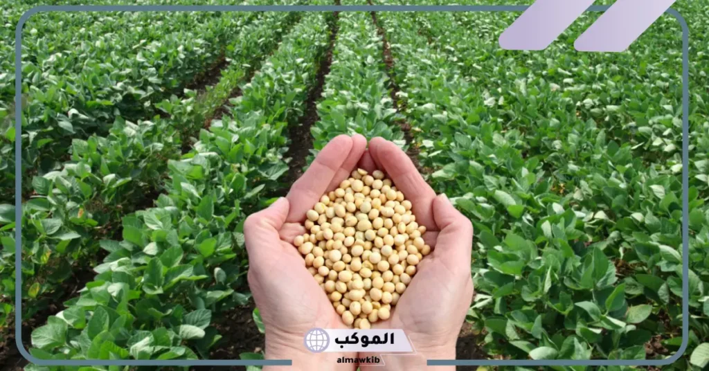 رؤية الزرع الأخضر في المنام للمتزوجة