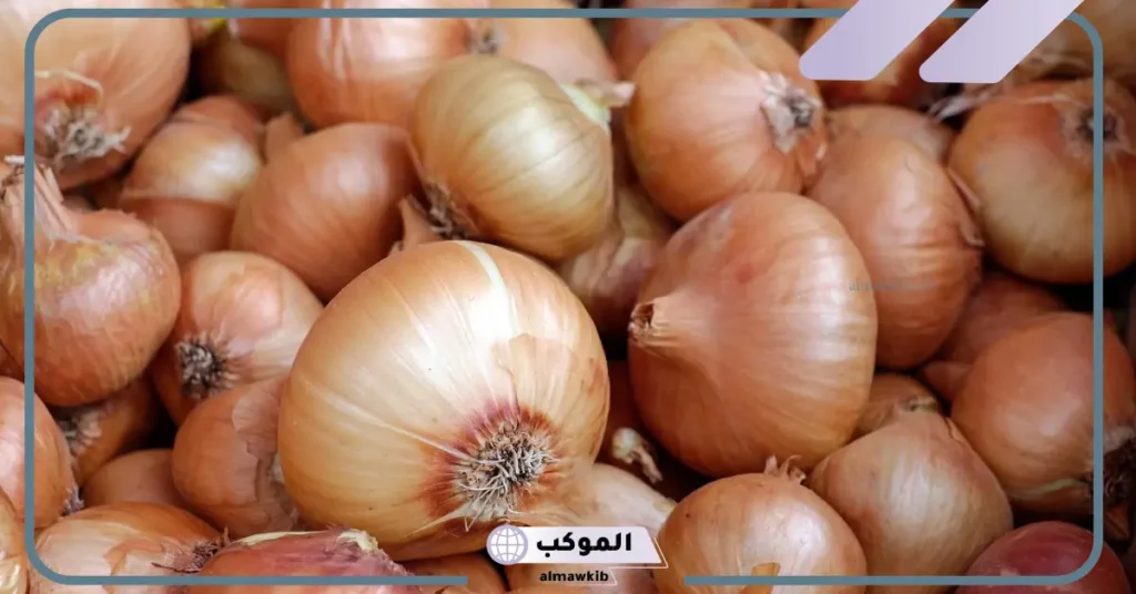 رؤية البصل في المنام للعزباء