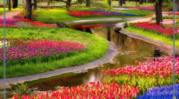 روعة الربيع