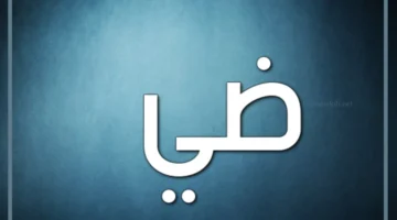 صفات اسم ضي