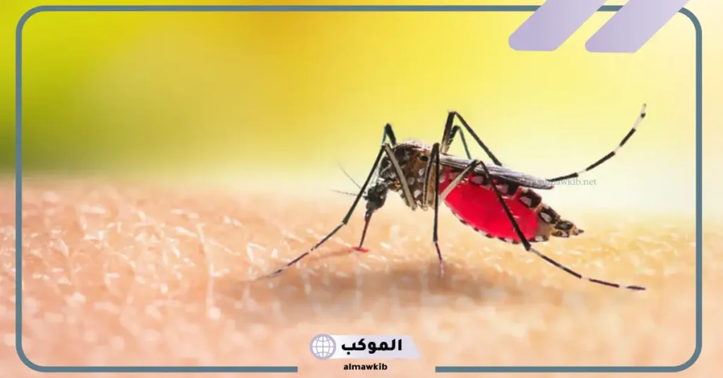 ما هو الفرق بين الناموس والبعوض.. الأمراض المنقولة بواسطة البعوض والناموس 5 الفرق بين ذكر البعوض والانثى