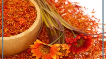 فوائد العصفر